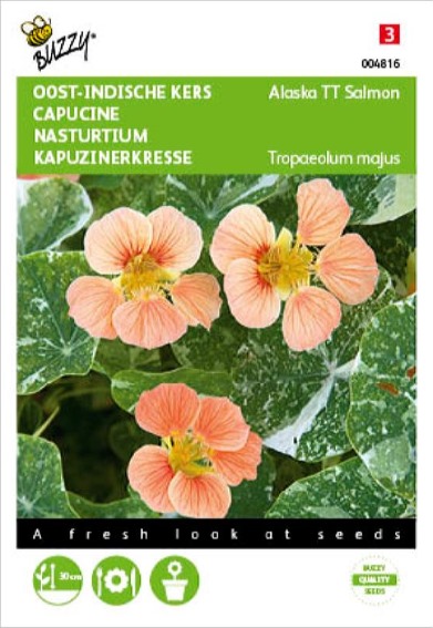 Garden Nasturtium Alaska Salmon (Tropaeolum) 20 seeds